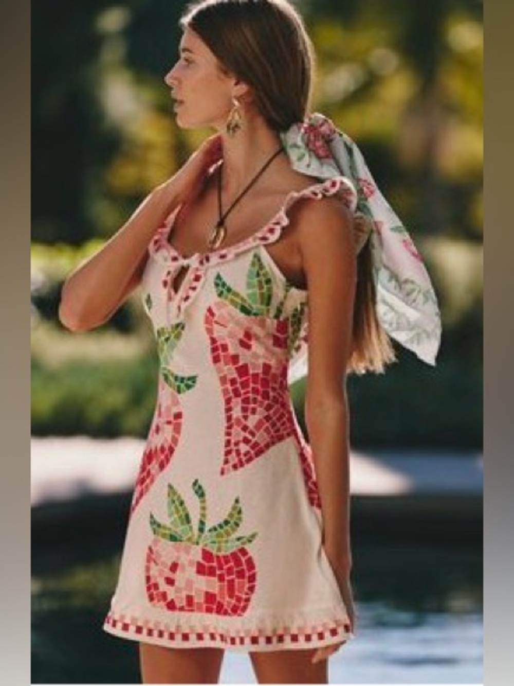 NWT Celandine Strawberry Embroidered Dress Large